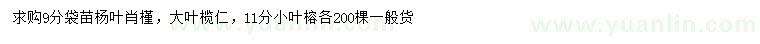 求购杨叶肖槿、大叶榄仁、小叶榕