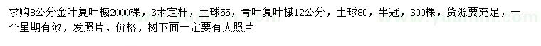 求购8公分金叶复叶槭、12公分青叶复叶槭