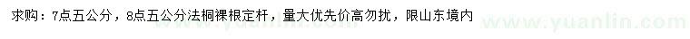 求购7.5、8.5公分法桐