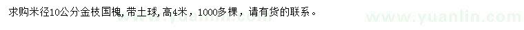 求购米径10公分金枝国槐