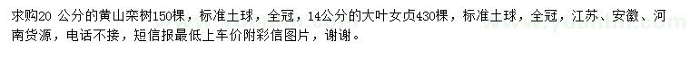 求购20公分黄山栾树、14公分大叶女贞