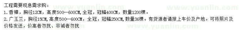 求购胸径12公分香樟、胸径15公分广玉兰