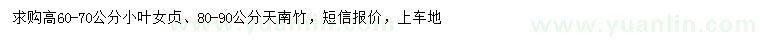 求购高60-70公分小叶女贞、80-90公分天南竹