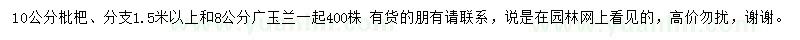 求购10公分枇杷、8公分广玉兰