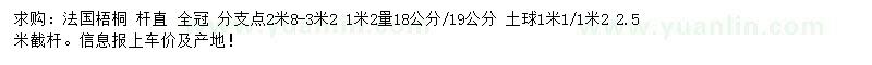 求购18、19公分法国梧桐