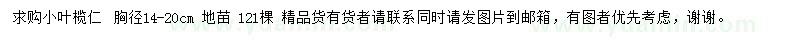 求购胸径14-20公分小叶榄仁