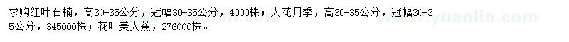 求购红叶石楠、大花月季、花叶美人蕉