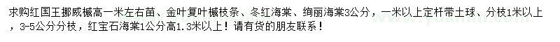 求购红国王挪威槭、金叶复叶槭枝条、冬红海棠等