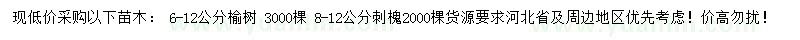 求购6-12公分榆树、8-12公分刺槐