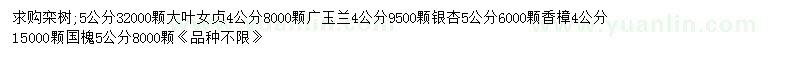 求购栾树、大叶女贞、广玉兰等