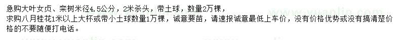 求购米径4.5公分大叶女贞、栾树、1米以上八月桂