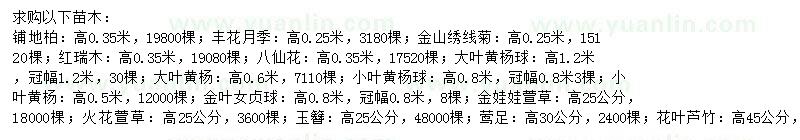 求购铺地柏、丰花月季、金山绣线菊等