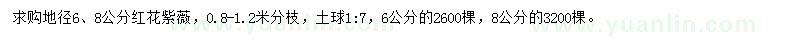 求购地径6、8公分红花紫薇