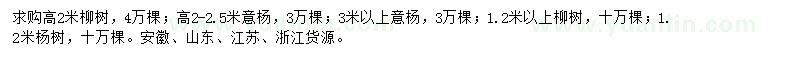 求购法桐、意杨、柳树等