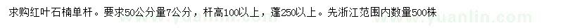 求购50公分量7公分红叶石楠