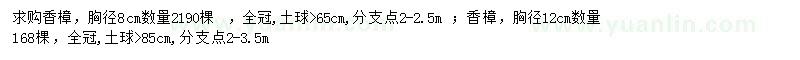 求购胸径8、12公分香樟