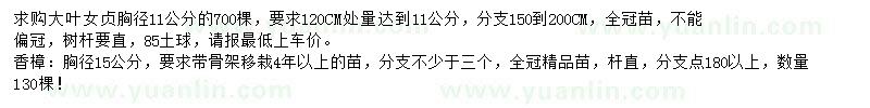 求购胸径11公分大叶女贞、胸径15公分香樟