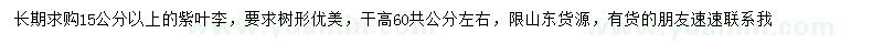 求购15公分以上紫叶李