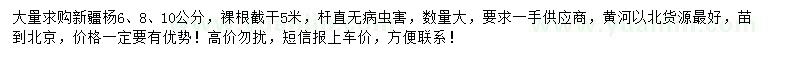 求购6、8、10公分新疆杨