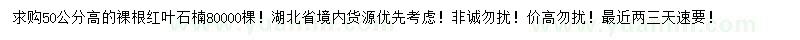 求购高50公分红叶石楠