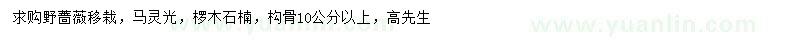 求购野蔷薇、马灵光、椤木石楠等