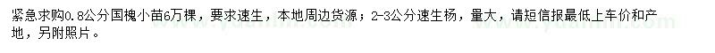 求购0.8公分国槐小苗、2-3公分速生杨