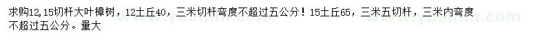 求购12、15公分大叶樟树