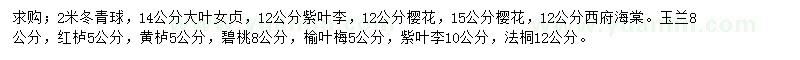 求购冬青球、大叶女贞、紫叶李