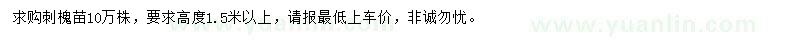 求购高1.5米以上刺槐苗