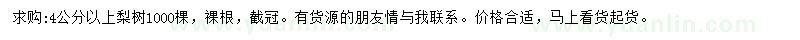 求购4公分以上梨树
