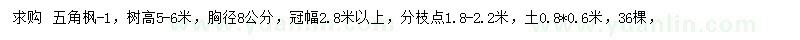 求购胸径8公分五角枫