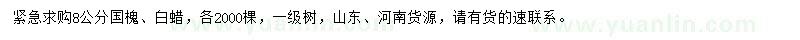 求购8公分国槐、白蜡