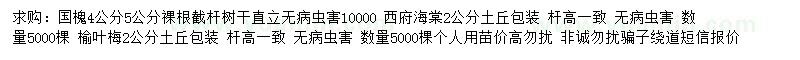 求购国槐、西府海棠、榆叶梅