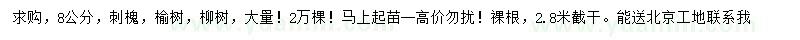 求购刺槐、榆树、柳树