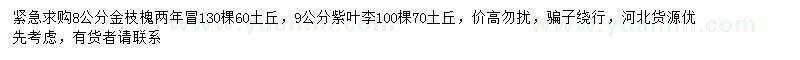 求购8公分金枝槐、9公分紫叶李