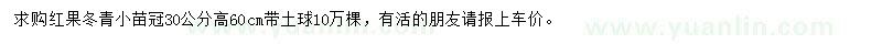 求购冠30公分红果冬青