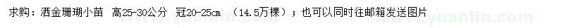 求购高25-30公分洒金珊瑚