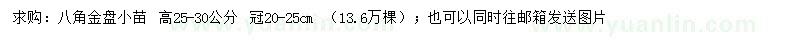 求购高25-30公分八角金盘