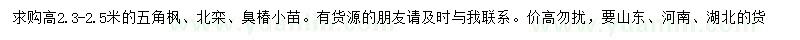 求购五角枫、北栾、臭椿小苗