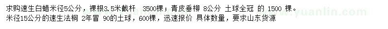 求购速生白蜡、青皮垂柳、速生法桐