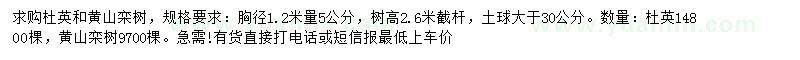 求购胸径1.2米量5公分杜英、黄山栾树