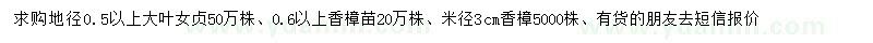 求购大叶女贞、香樟苗、香樟