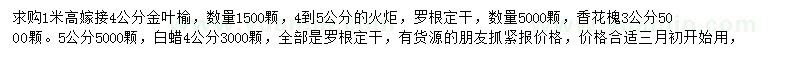 求购金叶榆、火炬、香花槐