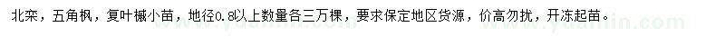 求购北栾小苗、五角枫小苗、复叶槭小苗