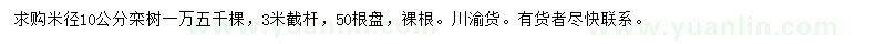 求购米径10公分栾树