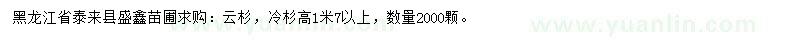 求购高1米7以上云杉、冷杉