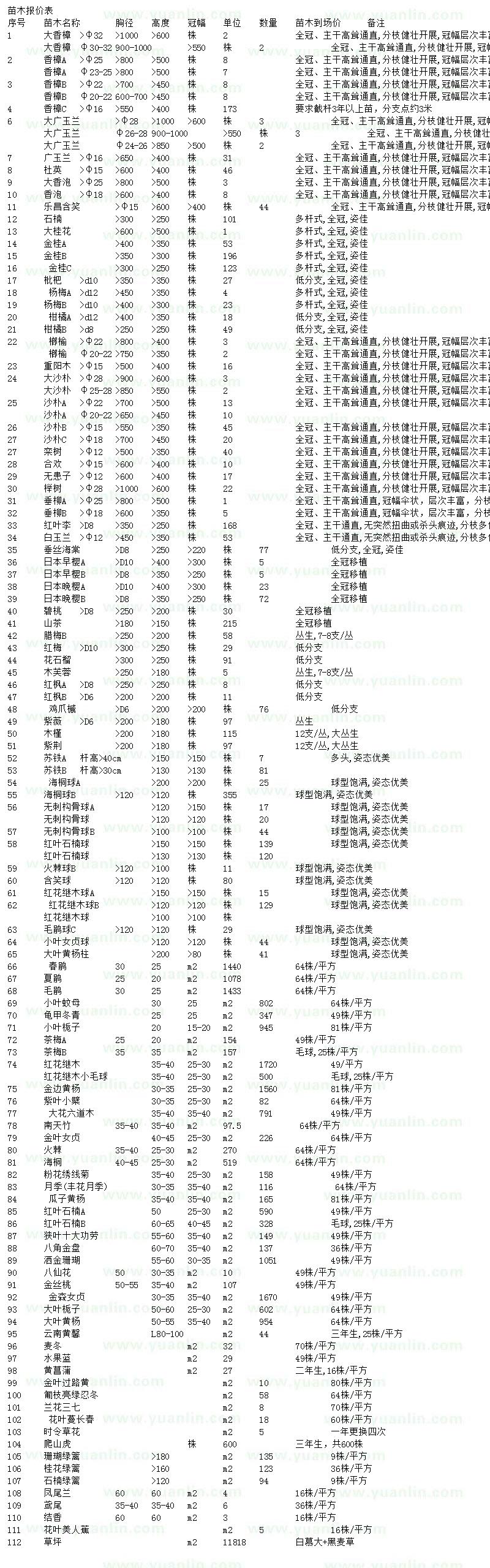 求购香樟、广玉兰、杜英等