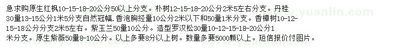 求购原生红枫、朴树、丹桂等