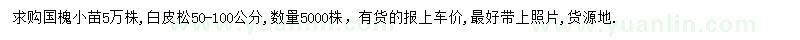 求购国槐小苗、50-100公分白皮松