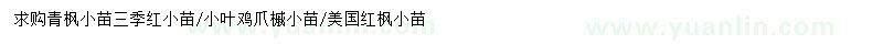 求购青枫、小叶鸡爪槭、美国红枫